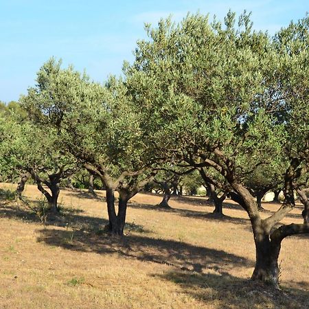 La Villa Provencale Lorgues Dış mekan fotoğraf