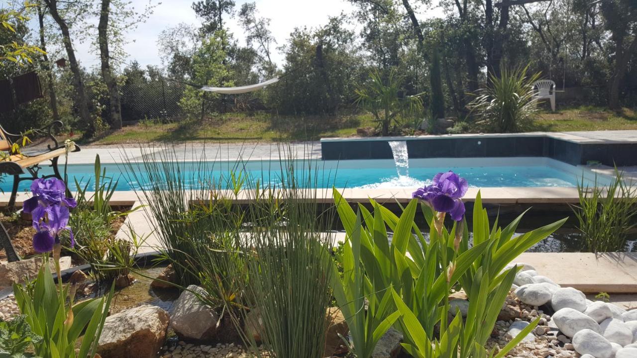 La Villa Provencale Lorgues Dış mekan fotoğraf