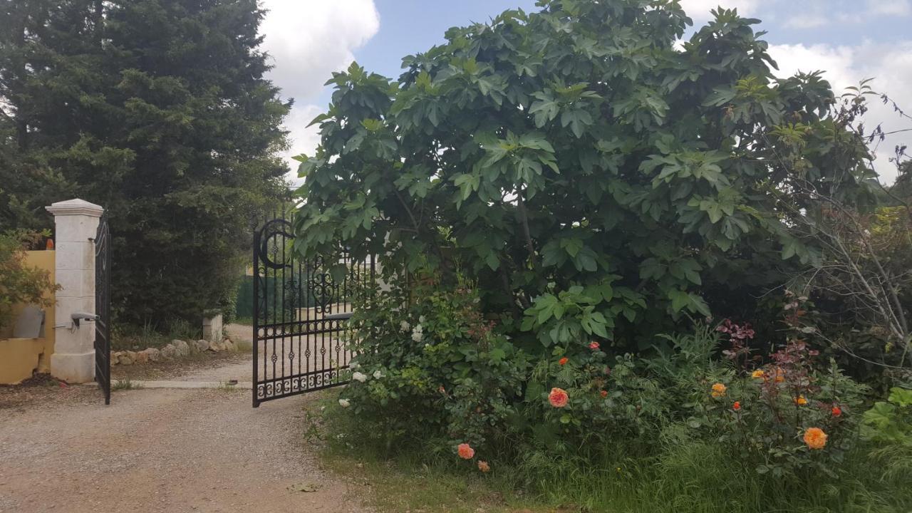 La Villa Provencale Lorgues Dış mekan fotoğraf