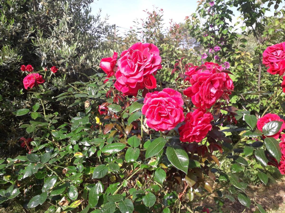La Villa Provencale Lorgues Dış mekan fotoğraf