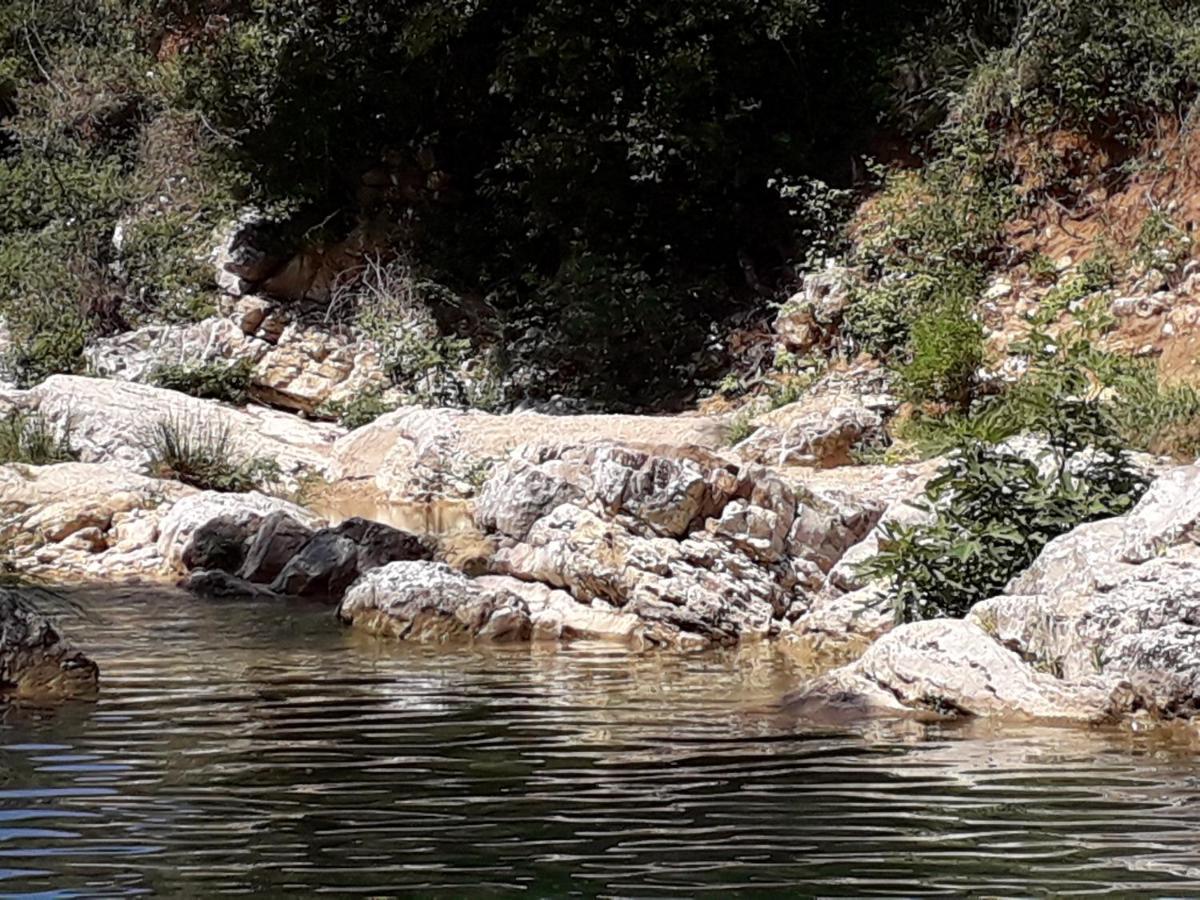 La Villa Provencale Lorgues Dış mekan fotoğraf